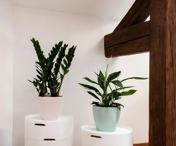 Atrio アパート Trenčín